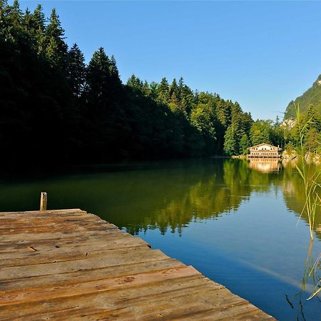 Alpapart Schneider Alpbach Buitenkant foto