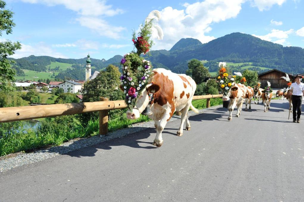 Alpapart Schneider Alpbach Buitenkant foto
