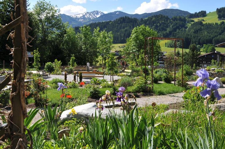 Alpapart Schneider Alpbach Buitenkant foto