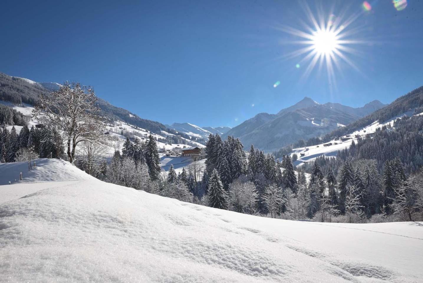 Alpapart Schneider Alpbach Buitenkant foto